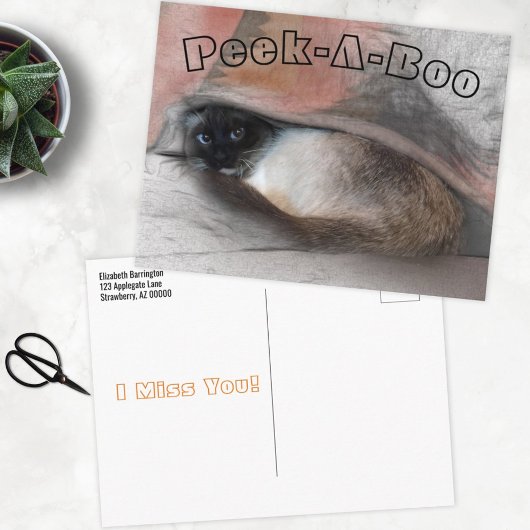 毛布の下で子猫恋しく思を見てみたまえ ポストカード