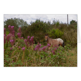 毛布の斑点のあるポニー