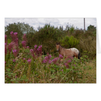 毛布の斑点のあるポニー