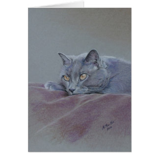 毛布の猫、ちょうど、芸術リラックスします