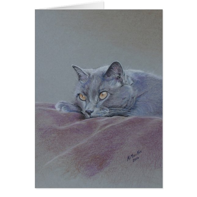 毛布の猫、ちょうど、芸術リラックスします (正面)