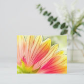 毛布の花の花びらクローズアップ ポストカード (スタンド正面)