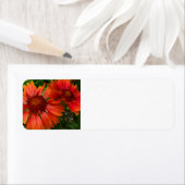 毛布の花 ラベル (インサイチュ)