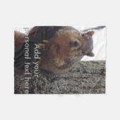 毛布を見たリス フリースブランケット (正面(横))