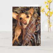 毛布グリーティングカードにチワホアドッグ カード (黄色い花)