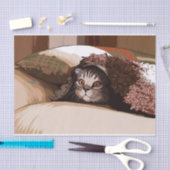 毛布ティッシュペーパー 薄葉紙 (クラフト)