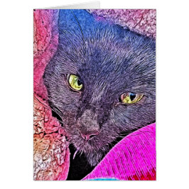 毛布ナポレオン