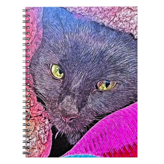 毛布ナポレオン ノートブック (正面)