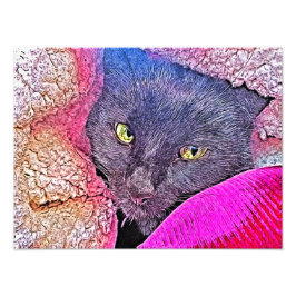 毛布ナポレオン フォトプリント           