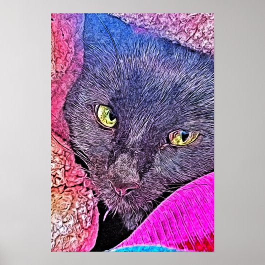 毛布ナポレオン ポスター (正面)