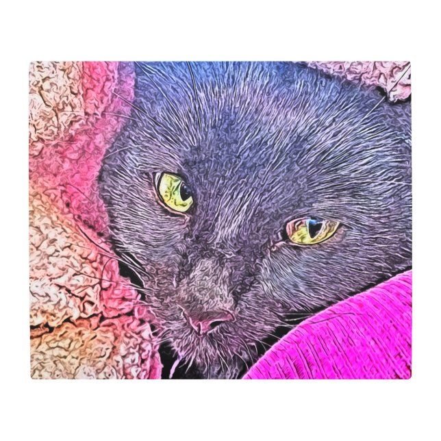 毛布ナポレオン メタルプリント (正面)