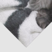 毛布子猫ティッシュペーパー 薄葉紙 (詳細)