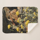 毛布 (正面(横))