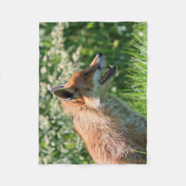 毛布、ずるい投球、孤の幼いこどもの投球毛布を孤色に変色させて下さい フリースブランケット