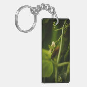 毛毛虫 キーホルダー (正面左)