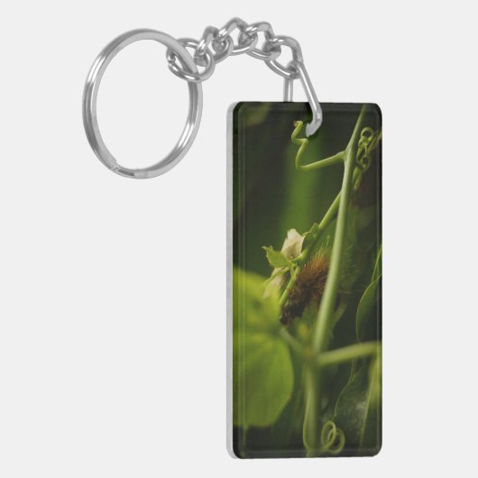 毛毛虫 キーホルダー (正面左)