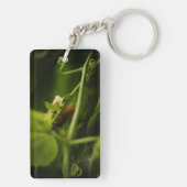 毛毛虫 キーホルダー (裏面)