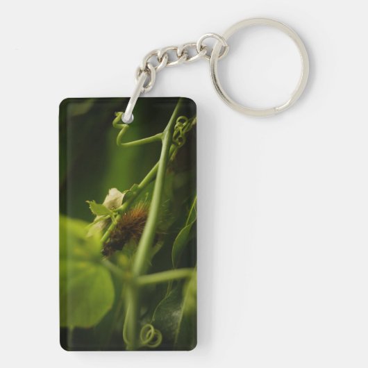 毛毛虫 キーホルダー (裏面)