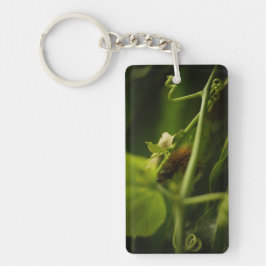 毛毛虫 キーホルダー