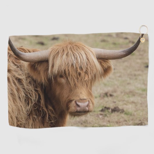毛深いスコットランド高地産の牛 ゴルフタオル (横)