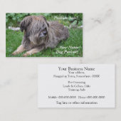 毛深い牧羊犬に手入れをしている犬 名刺 (正面/裏面)