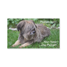 毛深い牧羊犬に手入れをしている犬