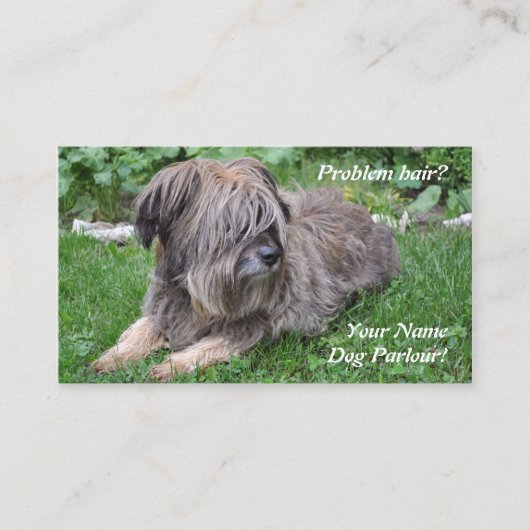毛深い牧羊犬に手入れをしている犬 名刺 (正面)