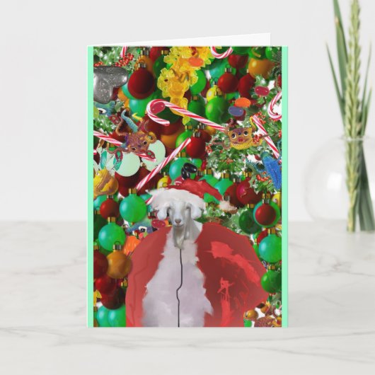 毛深いgOATMaSカード シーズンカード (正面)