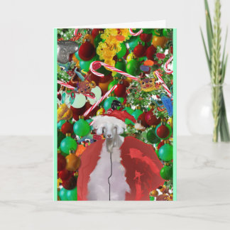 毛深いgOATMaSカード シーズンカード