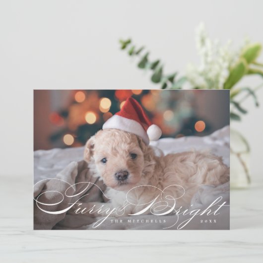 毛皮と明るいエレガントペット犬の写真カード シーズンカード (スタンド正面)