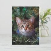 毛皮と明るいエレガントペット猫のフォトカード シーズンカード (スタンド正面)