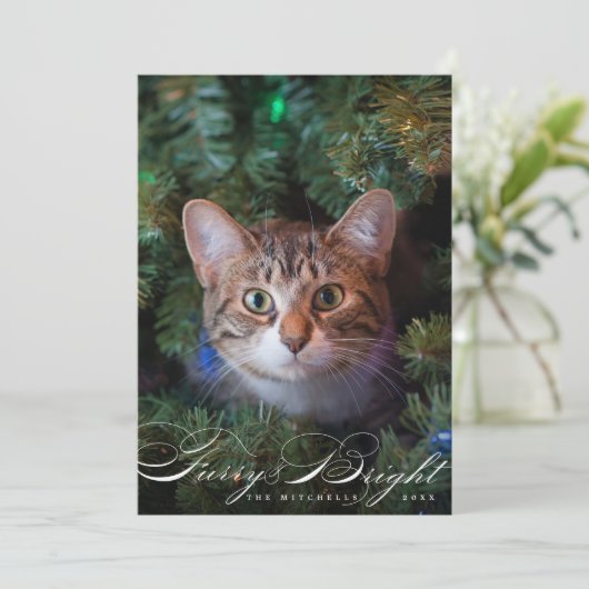 毛皮と明るいエレガントペット猫のフォトカード シーズンカード (スタンド正面)