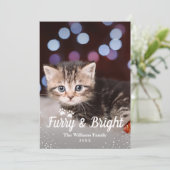 毛皮と明るいクリスマスペットの写真 シーズンカード (スタンド正面)