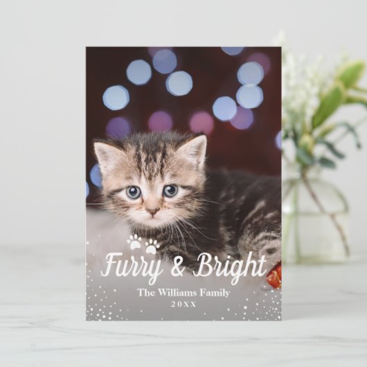 毛皮と明るいクリスマスペットの写真 シーズンカード (スタンド正面)