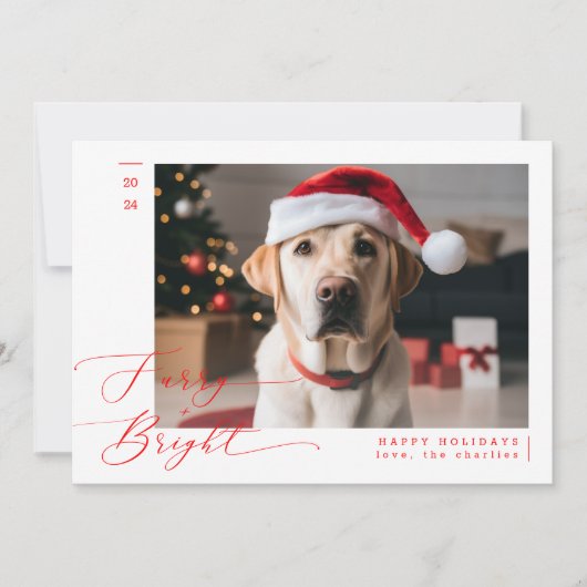 毛皮と明るいペットおもしろいドッグ写真クリスマス シーズンカード (正面)