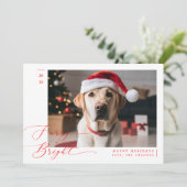 毛皮と明るいペットおもしろいドッグ写真クリスマス シーズンカード (スタンド正面)