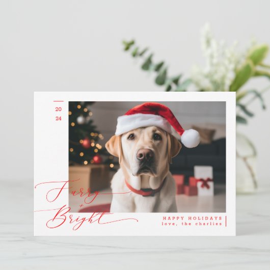 毛皮と明るいペットおもしろいドッグ写真クリスマス シーズンカード (スタンド正面)
