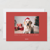 毛皮と明るいペットおもしろいドッグ写真クリスマス シーズンカード (裏面)