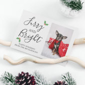 毛皮と明るいペットの写真クリスマス シーズンカード