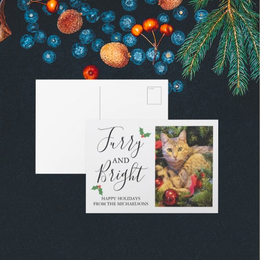 毛皮と明るいペットの写真クリスマス シーズンポストカード