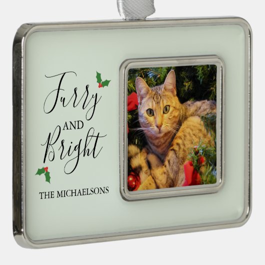 毛皮と明るいペットの写真 シルバープレートフレームオーナメント (右)