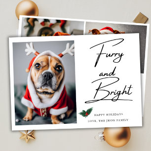 毛皮と明るいペット犬の写真ミストレトークリスマス シーズンカード