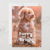 毛皮と明るい犬の写真のクリスマスおもしろい シーズンカード (正面)