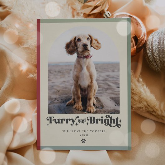毛皮と明るい犬の写真のクリスマスおもしろい シーズンカード