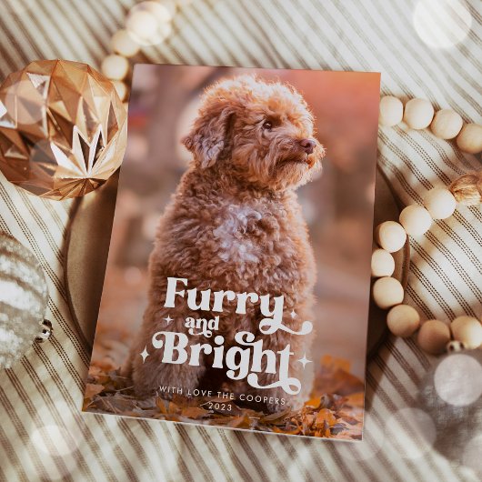 毛皮と明るい犬の写真のクリスマスおもしろい シーズンカード