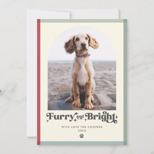 毛皮と明るい犬の写真のクリスマスおもしろい シーズンカード (正面)