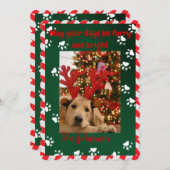 毛皮と明るい犬の写真クリスマスカード シーズンカード (正面/裏面)