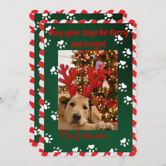 毛皮と明るい犬の写真クリスマスカード シーズンカード (正面/裏面)