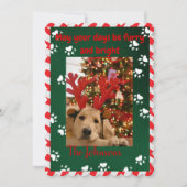 毛皮と明るい犬の写真クリスマスカード シーズンカード (正面)