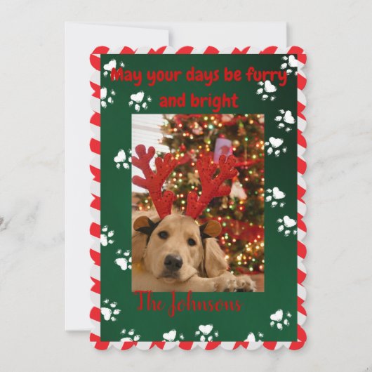 毛皮と明るい犬の写真クリスマスカード シーズンカード (正面)